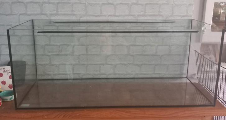 Aquarium voor hamster of vissen, Dieren en Toebehoren, Knaagdieren en Konijnen | Hokken en Kooien, Zo goed als nieuw, Hamster