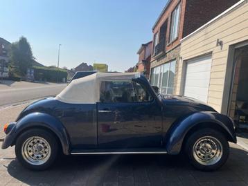 VW Speedster oldtimer TLC nodig