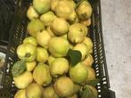 Mooie biologische kweeperen te koop 1 euro de klo., Ophalen