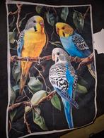 Handdoek grasparkieten, Dieren en Toebehoren, Vogels | Parkieten en Papegaaien