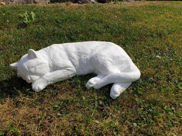 witte Slapende Kat , poes beeld beschikbaar voor biedingen