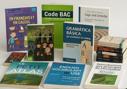 Lot livres:langue-scolaire-16 romans, vends lot ou à l’unité, Boeken, Taal | Frans, Zo goed als nieuw, Ophalen
