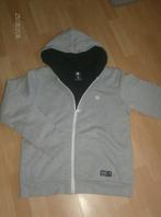 jas / dikke trui grijs merk element - maat 14 jaar, Kinderen en Baby's, Kinderkleding | Maat 164, Gebruikt, Ophalen of Verzenden