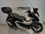 Honda Forza 300 ABS 19KW + Garantie + Gratis onderhoud!, Motoren, Motoren | Honda, Scooter, 300 cc, Bedrijf, Minimaal motorrijbewijs A2