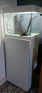 Oase Style Line 85, Dieren en Toebehoren, Ophalen, Zo goed als nieuw, Leeg aquarium