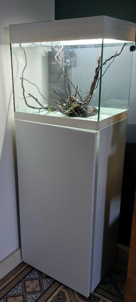 Oase Style Line 85, Dieren en Toebehoren, Vissen | Aquaria en Toebehoren, Zo goed als nieuw, Leeg aquarium, Ophalen