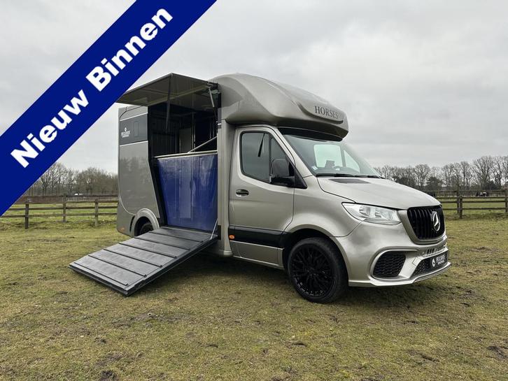 Mercedes-Benz Sprinter 319 AMG 2-paards paardenvrachtwagen B, Dieren en Toebehoren, Paarden en Pony's | Trailers en Aanhangwagens