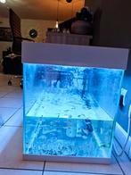 Aqarium, Dieren en Toebehoren, Ophalen