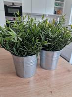 3 FEJKA kunstplanten binnen/buiten, Ophalen of Verzenden