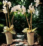 2 kunst orchideeën met pot, Tuin en Terras, Planten | Tuinplanten, Ophalen