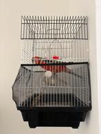 Rosella oiseaux, Dieren en Toebehoren, Vogels | Hokken en Kooien, Ophalen of Verzenden, Zo goed als nieuw