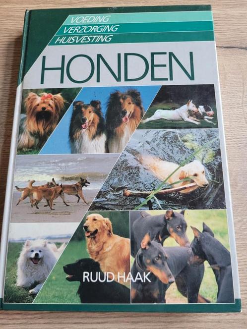 Boek : Honden voeding verzorging huisvesting / Ruud Haak, Boeken, Dieren en Huisdieren, Zo goed als nieuw, Ophalen of Verzenden