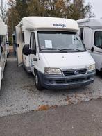 Elnagh P250, Caravans en Kamperen, 7 tot 8 meter, Bedrijf, Diesel, Half-integraal