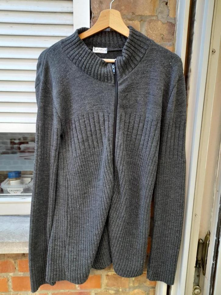 Grijze dames trui met rits 'Solarize'  M, Kleding | Dames, Truien en Vesten, Gedragen, Maat 38/40 (M), Grijs, Ophalen of Verzenden