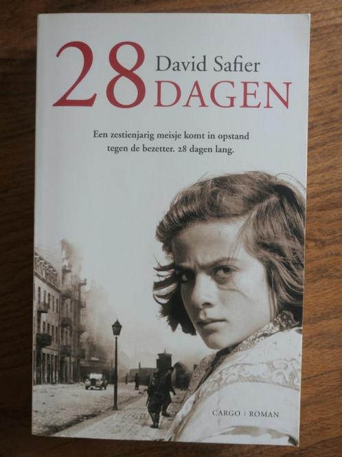 28 dagen (David Safier), Boeken, Oorlog en Militair, Zo goed als nieuw, Ophalen