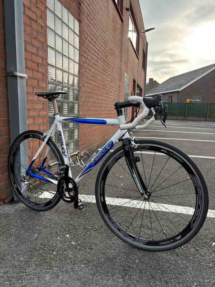 Koersfiets RIDLEY met campagnolo, Fietsen en Brommers, Fietsen | Racefietsen, Zo goed als nieuw, Ophalen