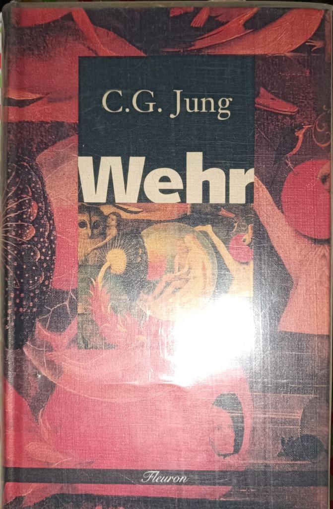 C. G. Jung : Gerhard Wehr : FORMAT DE POCHE, Boeken, Psychologie, Gelezen, Overige onderwerpen, Ophalen of Verzenden