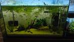 60l aquarium incl visbestand en filterpomp, Ophalen of Verzenden, Zo goed als nieuw