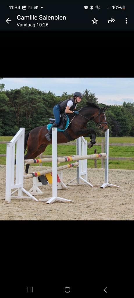 Springleerpaard gezocht, Dieren en Toebehoren, Paarden en Pony's | Overige Paardenspullen, Ophalen