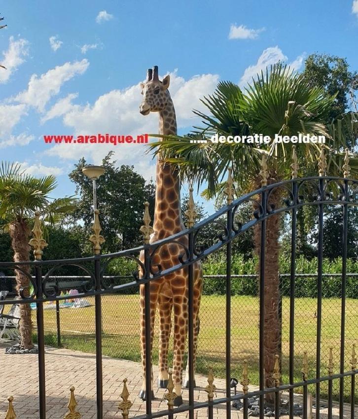 Giraffe  diverse modellen, Tuin en Terras, Tuinbeelden, Nieuw, Dierenbeeld, Kunststof, Ophalen