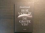 Hoe vang je de grote vis  -David Lynch-, Ophalen of Verzenden