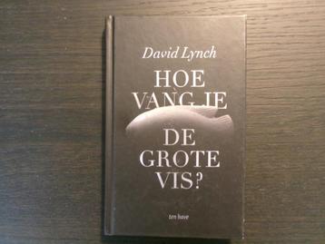 Hoe vang je de grote vis  -David Lynch- beschikbaar voor biedingen