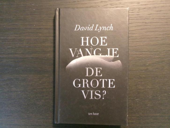 Hoe vang je de grote vis  -David Lynch-, Boeken, Literatuur, Ophalen of Verzenden