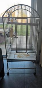 Papegaaienkooi - goede staat!, Dieren en Toebehoren, Ophalen, Zo goed als nieuw