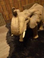 Olifant 33 hoog slurf 40 hoog lengte 55, Antiek en Kunst, Kunst | Beelden en Houtsnijwerken, Ophalen