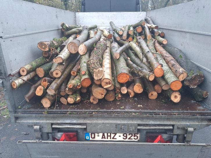 Brandhout, Tuin en Terras, Brandhout, Stammen, Minder dan 3 m³, Ophalen