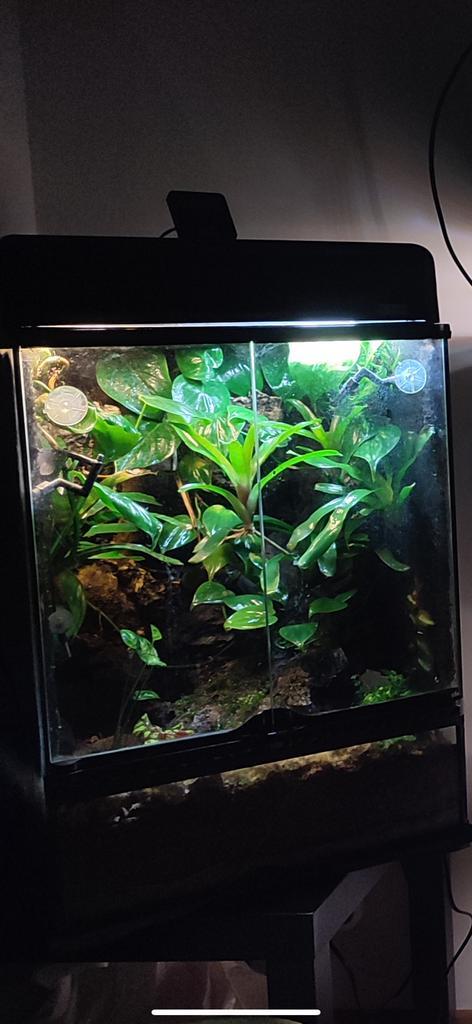 Exo terra terrarium, Dieren en Toebehoren, Reptielen en Amfibieën | Toebehoren, Zo goed als nieuw, Ophalen