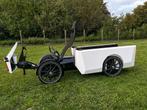 Elektrische ligfiets / cargofiets GoLo 200 kg laden, Fietsen en Brommers, Ophalen, Zo goed als nieuw