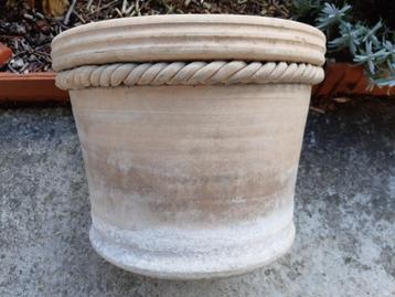 bloempot beschikbaar voor biedingen