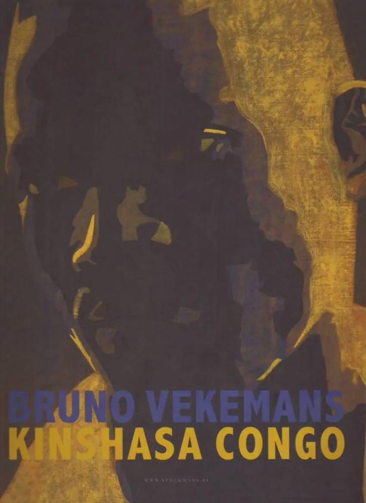 Bruno  Vekemans KINSHASA CONGO, Boeken, Kunst en Cultuur | Beeldend, Zo goed als nieuw, Schilder- en Tekenkunst, Ophalen
