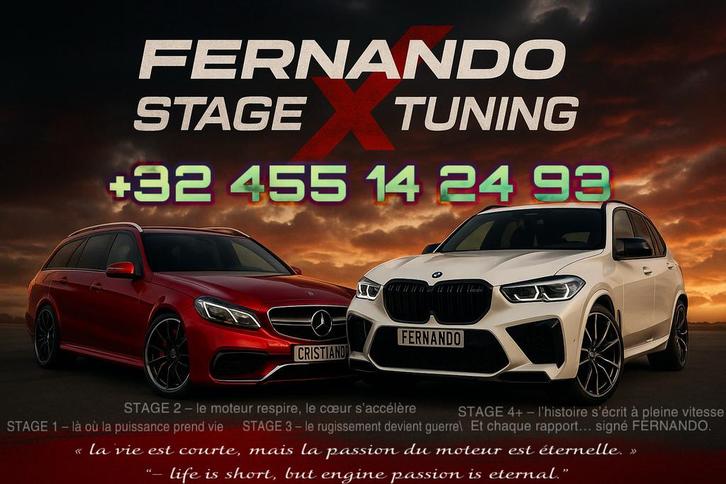 Repro Carto STAGE 1/1+ STAGE 2/2+ ADBLUE DPF EGR OFF TÉMOIN, Auto diversen, Tuning en Styling, Ophalen of Verzenden