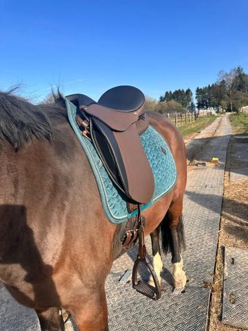 Ghost boomloos dressuur zadel beschikbaar voor biedingen