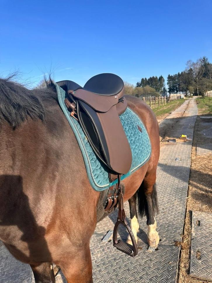 Ghost boomloos dressuur zadel, Dieren en Toebehoren, Paarden en Pony's | Zadels, Nieuw, Dressuur, Ophalen of Verzenden