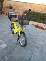 Suzuki FA50, Klasse A (25 km/u), 49 cc, Ophalen, Overige merken