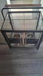 Reiskooi voor papegaai of andere soorten vogels, Dieren en Toebehoren, Vogels | Parkieten en Papegaaien, Papegaai