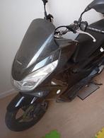 Honda pcx 125cc, Motoren, Motoren | Honda, Particulier
