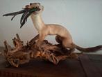 Taxidermie : Fouine, Enlèvement, Utilisé