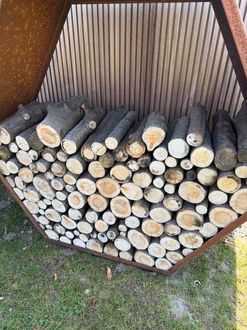 Brandhout - hakhout, Tuin en Terras, Brandhout, Ophalen