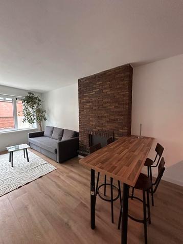 Airbnb te huur in hartje GENT beschikbaar voor biedingen