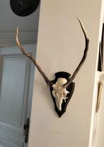 Décoration murale - Cerf, Ophalen, Nieuw