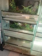 Terrarium en verre colle. Aquarium  Serpent.Boa. gecko . gre, Dieren en Toebehoren, Reptielen en Amfibieën | Toebehoren, Ophalen