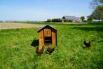 Trespa Kippenhok / Classic L - Cucciolotta, Dieren en Toebehoren, Pluimvee | Toebehoren, Ophalen of Verzenden, Nieuw, Kippenhok of Kippenren