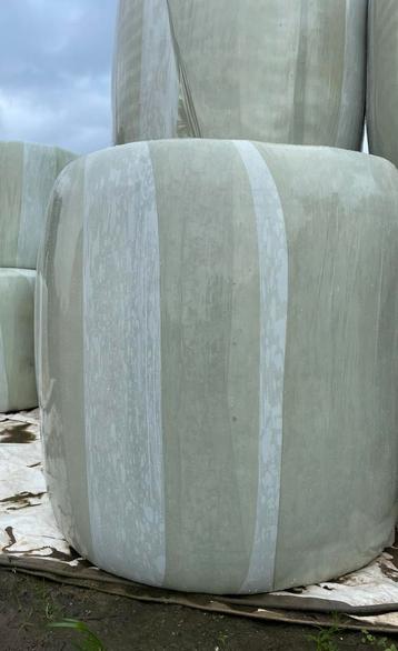 Maisrollen/ mais balen beschikbaar voor biedingen