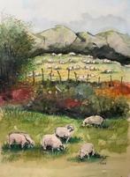 Aquarel Schapen in Schotland door Hilde Warmste Week, Antiek en Kunst, Ophalen