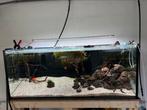 Aquarium 450L 150x60x60, Dieren en Toebehoren, Ophalen