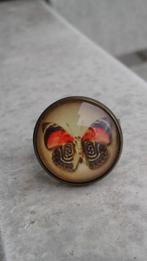 Bague cabochon Neuve Papillon de Nuit, Enlèvement ou Envoi, Neuf, Femme
